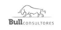 Bull Consultores